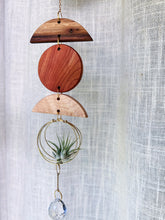 Mini Shapes Air Plant Hanger + Suncatcher - no.010