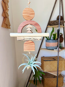 Drifting Arches Air Plant Wall Hanging no. 043