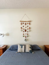 Modern Southwest Air Plant Wall Hanging - Across the Mesa