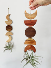 Air Plant Wall Jewelry - Moon Phases in Color no.004