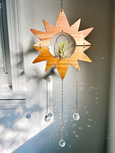 Sun Air Plant Hanger no.029