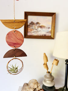 Mini Shapes Air Plant Wall Jewelry - no.008