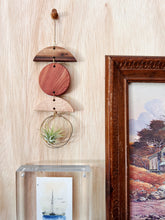 Mini Shapes Air Plant Hanger - no.015