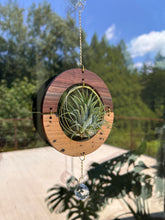 GOlden hOur + crystal suncatcher - Walnut + Hickory