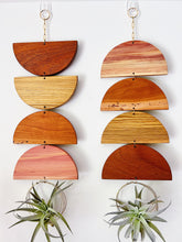 Air Plant Wall Jewelry - Rise and Set