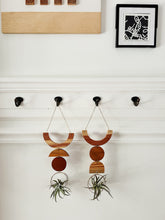 Air Plant Wall Jewelry - Smile no.005