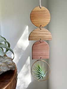 Air Plant Wall Jewelry - 3pc Modern Shapes no.273