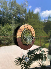 GOlden hOur + crystal suncatcher - Hickory + Walnut