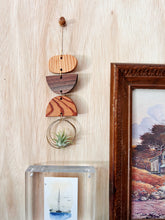 Mini Shapes Air Plant Hanger - no.013