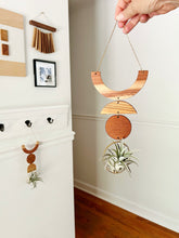 Air Plant Wall Jewelry - Smile no.004