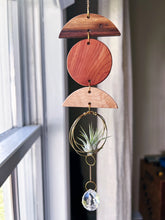 Mini Shapes Air Plant Hanger + Suncatcher - no.010