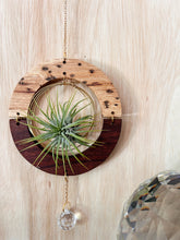 GOlden hOur + crystal suncatcher - Hickory + Walnut