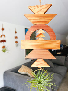 Modern Mix Air Plant Hanger no.070