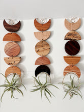 Air Plant Wall Hanging - Moon Phases in Color no.012
