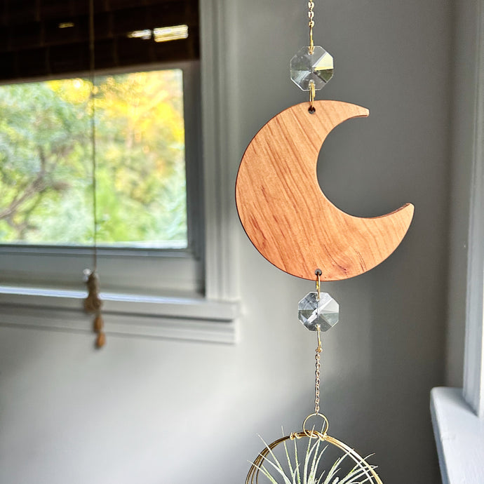 Crescent Moon with Crystal Prisms Air Plant Hanger