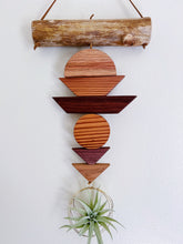 Drifting Shapes Air Plant Wall Hanging no. 001