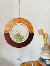 Golden hOur + Crystal Prism Suncatcher Air Plant Hanger