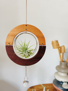 Golden hOur + Crystal Prism Suncatcher Air Plant Hanger