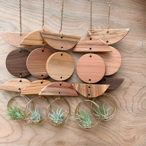 Mini 3pc Shapes Air Plant Wall Hanging