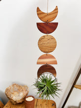 Air Plant Wall Jewelry - Moon Phases in Color no.008