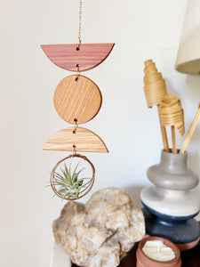 Mini Shapes Air Plant Wall Jewelry - no.009