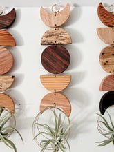 Air Plant Wall Hanging - Moon Phases in Color no.010