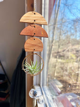 Mini Shapes Air Plant Hanger + Suncatcher - no.001