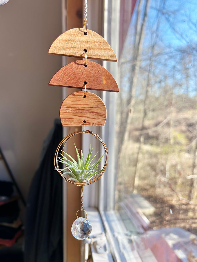 Mini Shapes Air Plant Hanger + Suncatcher - no.001