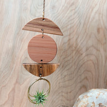 Mini 3pc Shapes Air Plant Wall Hanging