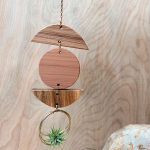 Mini 3pc Shapes Air Plant Wall Hanging