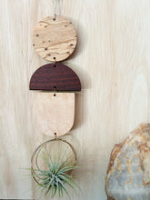 Air Plant Wall Art - 3pc Modern Shapes no.277