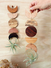 Air Plant Wall Hanging - Moon Phases in Color no.010