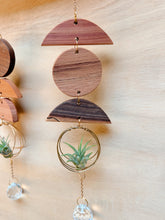 Mini 3pc Shapes Air Plant Hanger + Crystal Prism Suncatcher