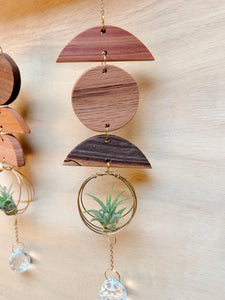 Mini 3pc Shapes Air Plant Hanger + Crystal Prism Suncatcher