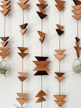 Modern Southwest Air Plant Wall Hanging - Across the Mesa