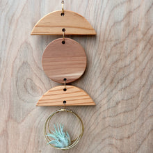 Mini 3pc Shapes Air Plant Wall Hanging