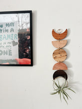 Air Plant Wall Hanging - Moon Phases in Color no.011