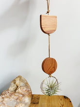 Modern Mix Air Plant Hanger no.070 Two Tier