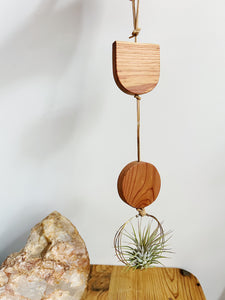 Modern Mix Air Plant Hanger no.072 Two Tier