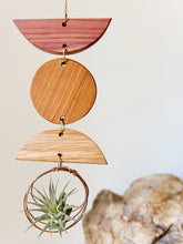 Mini Shapes Air Plant Wall Jewelry - no.009