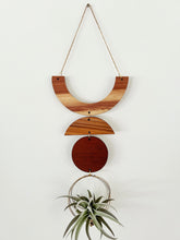 Air Plant Wall Jewelry - Smile no.004