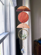 Mini Shapes Air Plant Hanger + Suncatcher - no.010