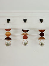 Mini Shapes Air Plant Wall Jewelry - no.006