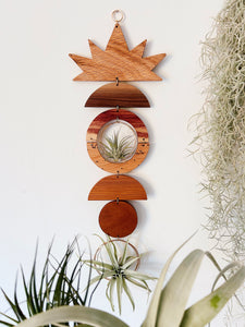 Sun Air Plant Hanger no.036