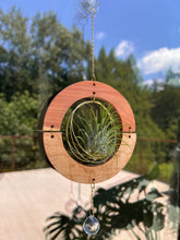 GOlden hOur + crystal suncatcher - Cedar + Maple