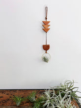 Modern Mix Air Plant Hanger no.066 Two Tier