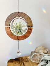 Air Plant Hanger - gOlden hOur + crystal suncatcher