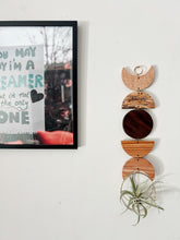 Air Plant Wall Hanging - Moon Phases in Color no.010