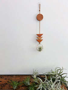 Modern Mix Air Plant Hanger no.067 Two Tier