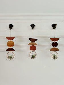 Mini Shapes Air Plant Wall Jewelry - no.007